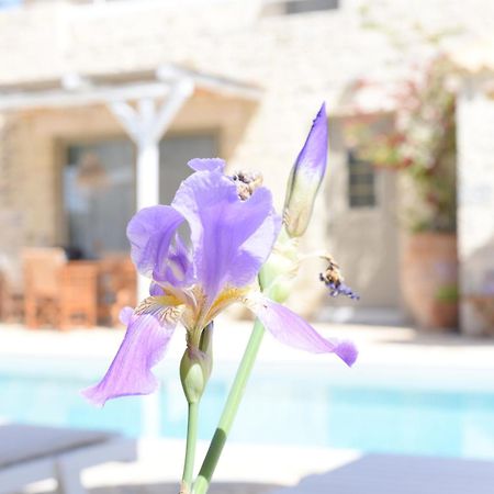 Laini Luxury Suites Pombia Екстериор снимка